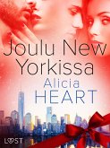 Joulu New Yorkissa - eroottinen novelli (eBook, ePUB)