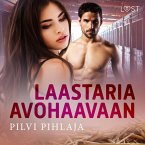 Laastaria avohaavaan - eroottinen novelli (MP3-Download)