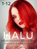 Halu 1-12: Intohimoinen eroottinen novellikokoelma (eBook, ePUB) Halu 1-12: Intohimoinen eroottinen novellikokoelma (eBook, ePUB)