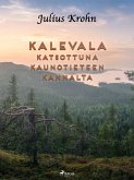 Kalevala katsottuna kaunotieteen kannalta (eBook, ePUB)