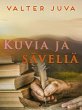 Kuvia ja säveliä (eBook, ePUB) - Bild 1