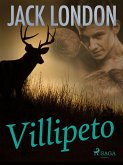 Villipeto (eBook, ePUB)
