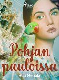 Pohjan pauloissa (eBook, ePUB)