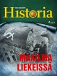 Maailma liekeissä (eBook, ePUB) - Bild 1