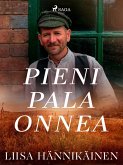 Pieni pala onnea (eBook, ePUB)