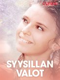 Syysillan valot - eroottinen novelli (eBook, ePUB)