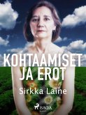 Kohtaamiset ja erot (eBook, ePUB)