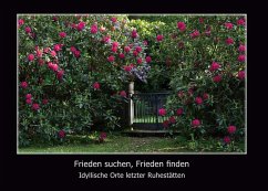 Frieden suchen, Frieden finden (eBook, PDF)
