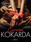 Czerwona kokarda – opowiadanie erotyczne (eBook, ePUB)