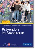 Prävention im Sozialraum (eBook, PDF)