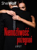 Niemożliwość pożegnań – opowiadanie dark erotic (eBook, ePUB)