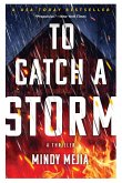 To Catch a Storm (eBook, ePUB)