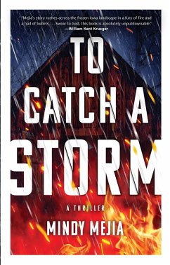 To Catch a Storm (eBook, ePUB) - Mejia, Mindy