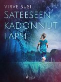 Sateeseen kadonnut lapsi (eBook, ePUB)