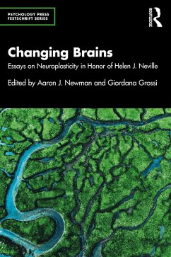 Changing Brains (eBook, PDF)