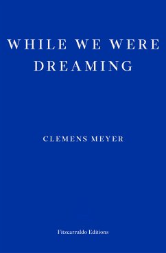 While We Were Dreaming (eBook, ePUB) - Meyer, Clemens