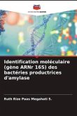 Identification moléculaire (gène ARNr 16S) des bactéries productrices d'amylase