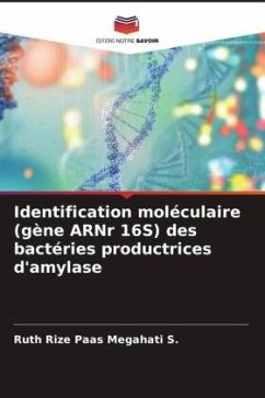 Identification moléculaire (gène ARNr 16S) des bactéries productrices d'amylase - Megahati S., Ruth Rize Paas