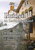 Ruinen im Radeberger Land - Zerfall, wo einst das Leben pulsierte - Ein Beitrag zur Heimat- und Industriegeschichte im Rödertal