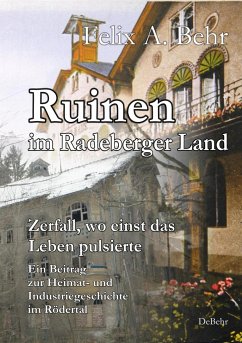 Ruinen im Radeberger Land - Zerfall, wo einst das Leben pulsierte - Ein Beitrag zur Heimat- und Industriegeschichte im Rödertal - Behr, Felix A.