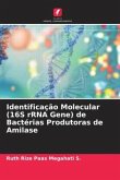 Identificação Molecular (16S rRNA Gene) de Bactérias Produtoras de Amilase