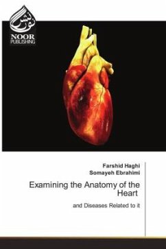 Examining the Anatomy of the Heart - Haghi, Farshid;Ebrahimi, Somayeh