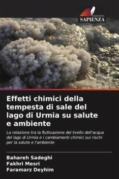 Effetti chimici della tempesta di sale del lago di Urmia su salute e ambiente - Sadeghi, Bahareh;Mesri, Fakhri;Deyhim, Faramarz