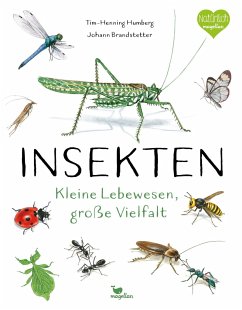 Insekten - Kleine Lebewesen, große Vielfalt - Humberg, Tim-Henning