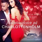 Valentinesfesten på Charlottenholm - erotisk novell (MP3-Download)