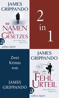 Im Namen des Gesetzes & Das Fehlurteil (eBook, ePUB) - Grippando, James