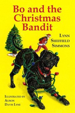 Cover Bo and the Christmas Bandit (eBook, ePUB)