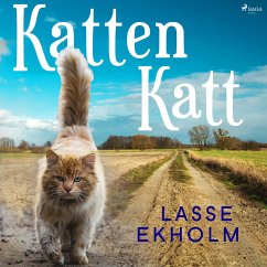 Cover Katten Katt (MP3-Download)