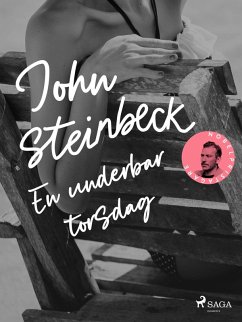 Cover En underbar torsdag (eBook, ePUB)