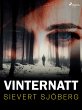 Vinternatt (eBook, ePUB) - Bild 1