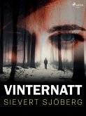Vinternatt (eBook, ePUB)