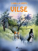 Vilse (eBook, ePUB)