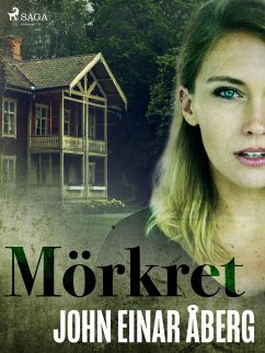 Cover Mörkret (eBook, ePUB)