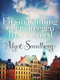En smålänning eller sin egen lyckas smed (eBook, ePUB)