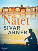 Nätet (eBook, ePUB)