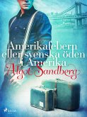 Amerikafebern eller Svenska öden i Amerika (eBook, ePUB)