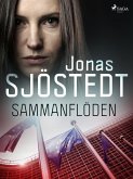 Sammanflöden (eBook, ePUB)