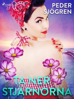 Cover Ta ner stjärnorna (eBook, ePUB)