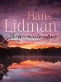 Skogsvandringar (eBook, ePUB)