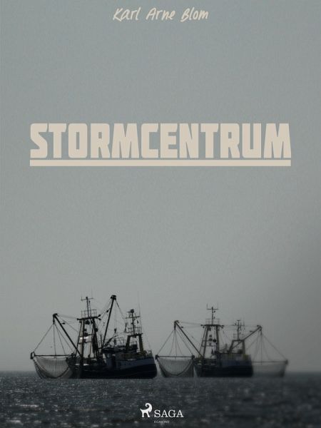 Stormcentrum (eBook, ePUB)