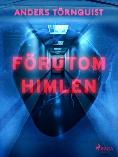 Förutom himlen (eBook, ePUB) - Törnquist, Anders