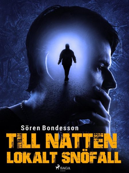 Till natten lokalt snöfall (eBook, ePUB)
