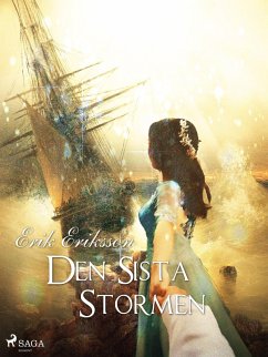 Cover Den sista stormen (eBook, ePUB)