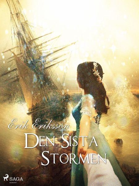 Den sista stormen (eBook, ePUB)