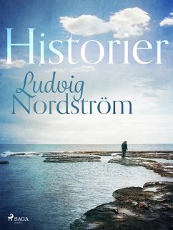 Cover Historier (eBook, ePUB)