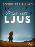 Mot rött ljus (eBook, ePUB)